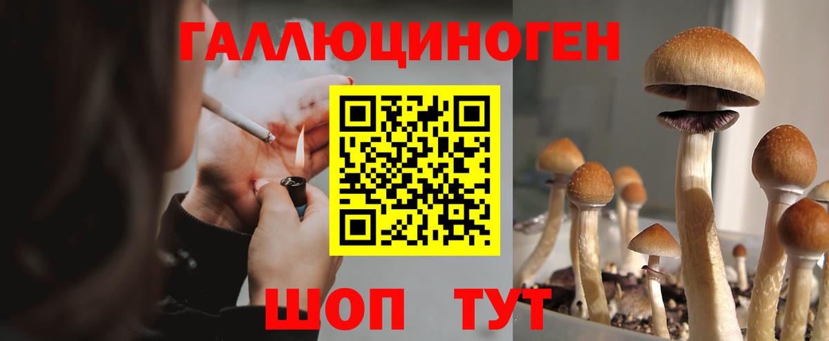 Галлюциногенные грибы Magic Shrooms  Псилоцибиновые грибы MAGIC MUSHROOMS  Вход с VPN  Советский 